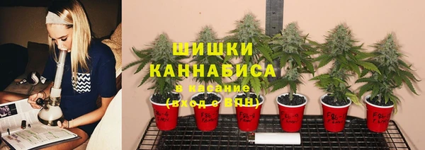 ПСИЛОЦИБИНОВЫЕ ГРИБЫ Богданович