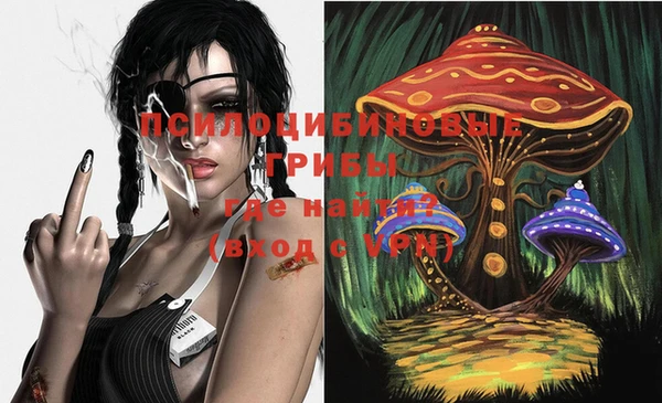 мдпв Бронницы
